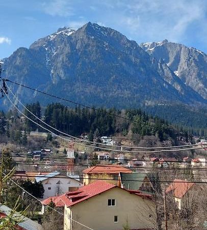 Appartamento Mountain View Buşteni Esterno foto