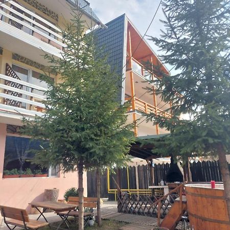 Appartamento Mountain View Buşteni Esterno foto