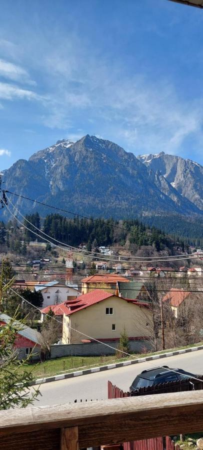 Appartamento Mountain View Buşteni Esterno foto