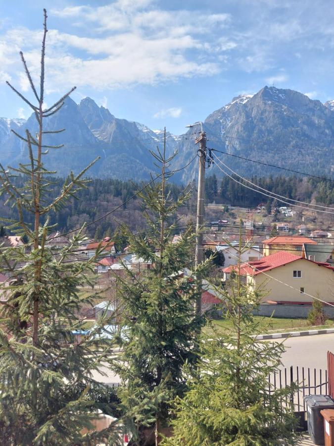 Appartamento Mountain View Buşteni Esterno foto