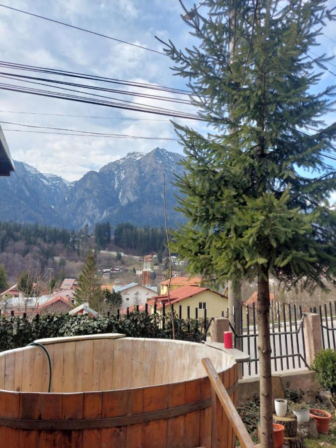 Appartamento Mountain View Buşteni Esterno foto