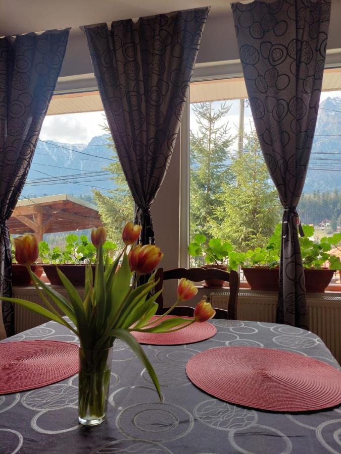 Appartamento Mountain View Buşteni Esterno foto