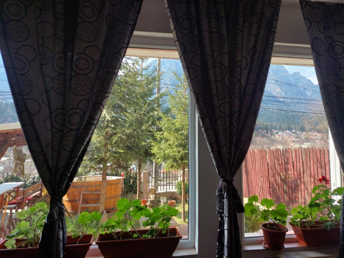 Appartamento Mountain View Buşteni Esterno foto