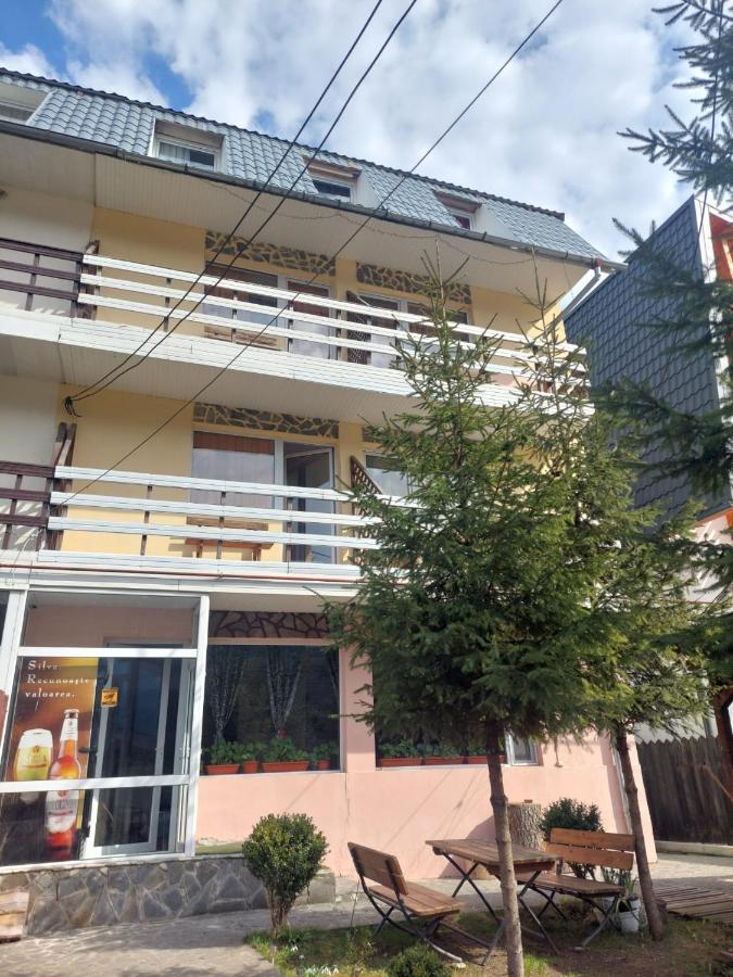 Appartamento Mountain View Buşteni Esterno foto
